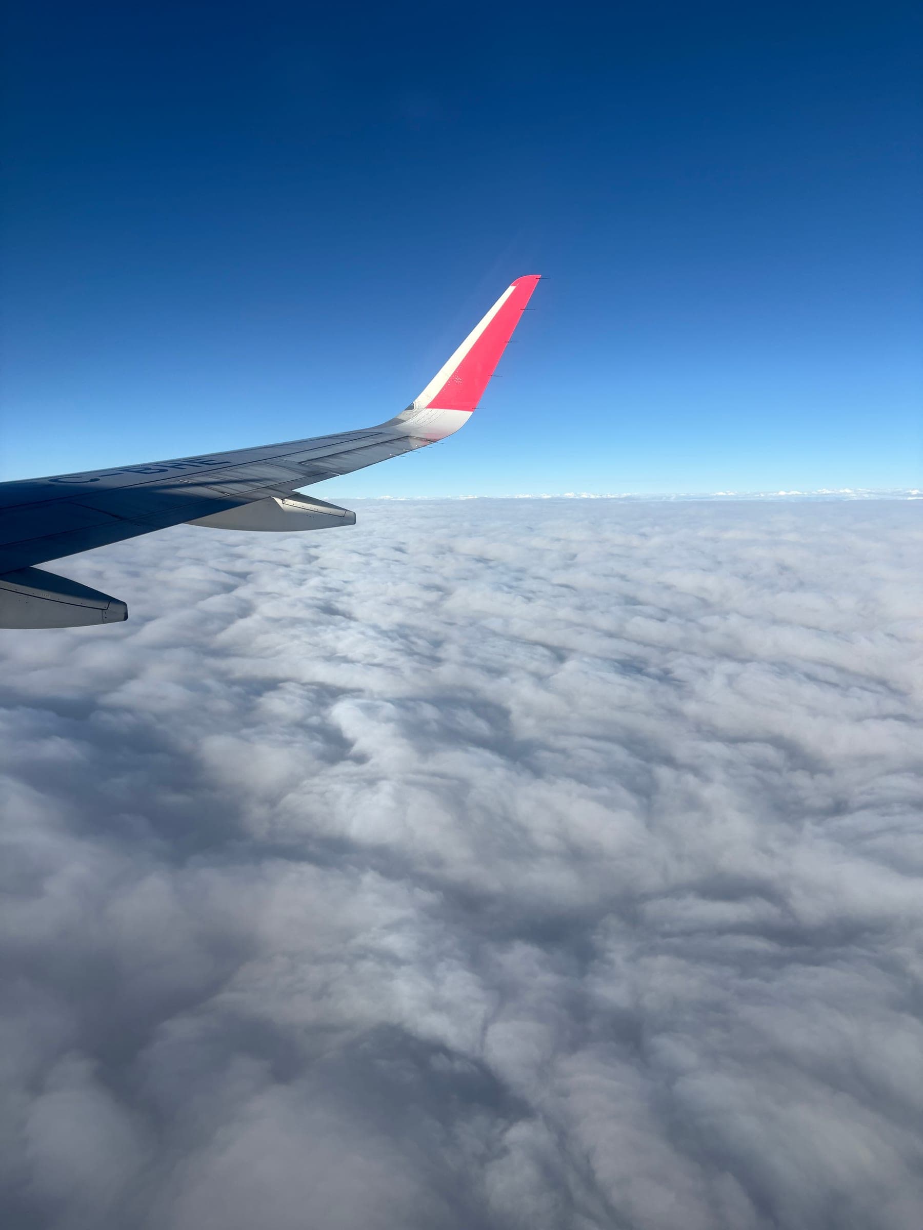View from an airplane window
